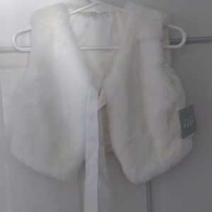 TWO items: Faux Fur Vest & Dress